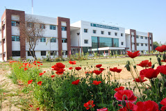 North India Institute of Technology, Bijnor