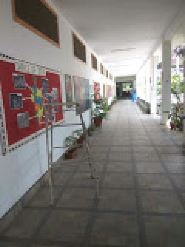 Ojaswini Institute of Management and Technology, Damoh