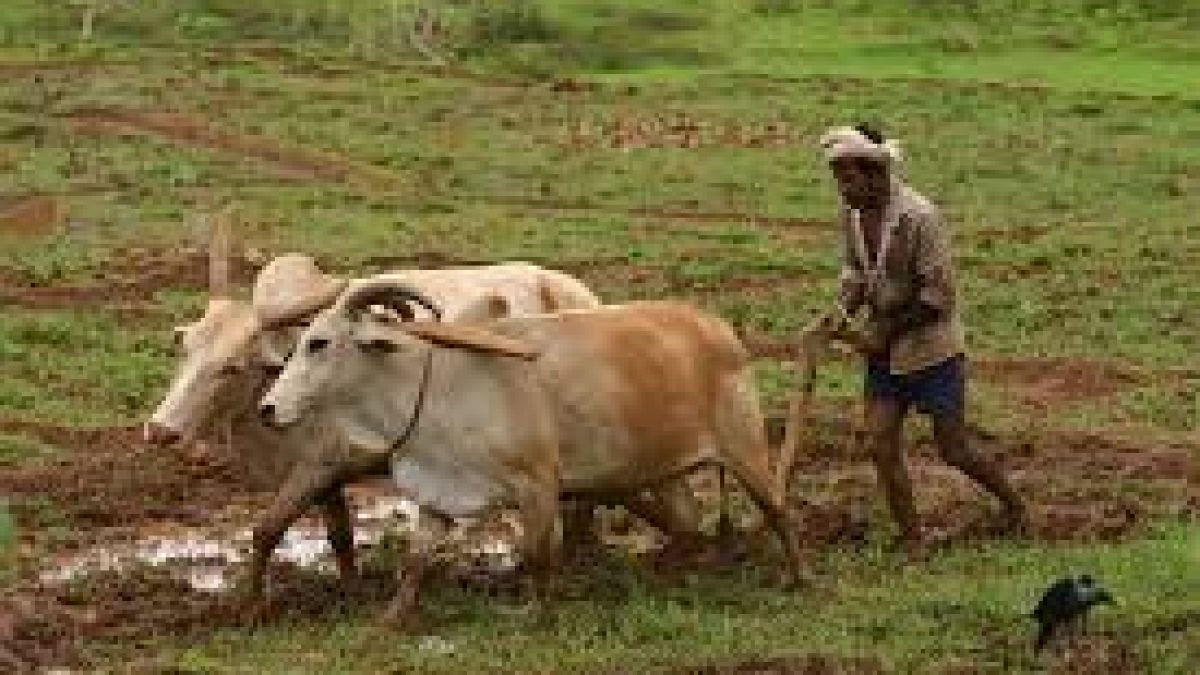 Resurrect of agricultural sector exports in the aftermath of COVID-19 crisis