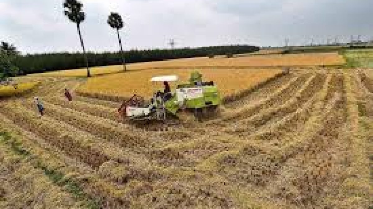 Smooth harvesting of Rabi Crop and sowing of summer crop