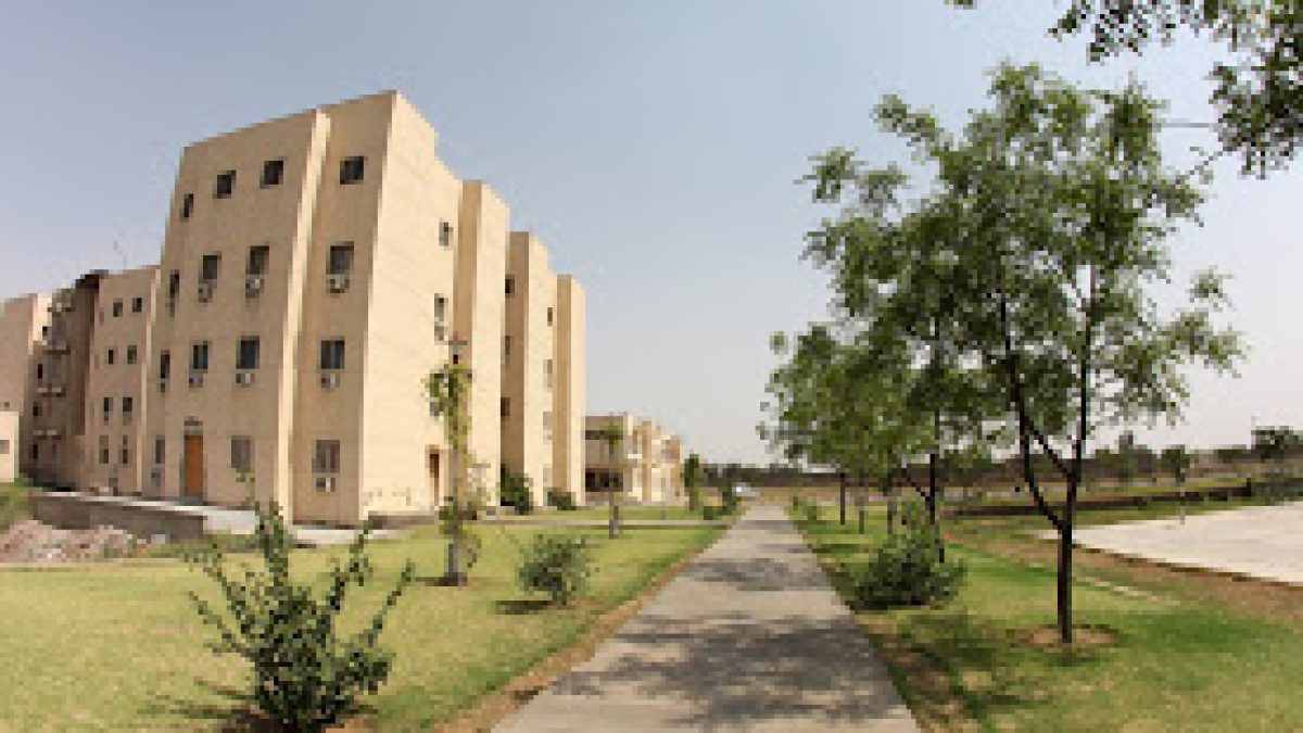 Raffles University, Neemrana