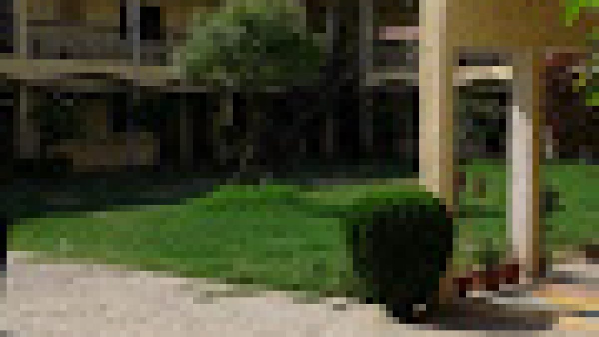 Rajiv Gandhi Polytechnic, Amethi