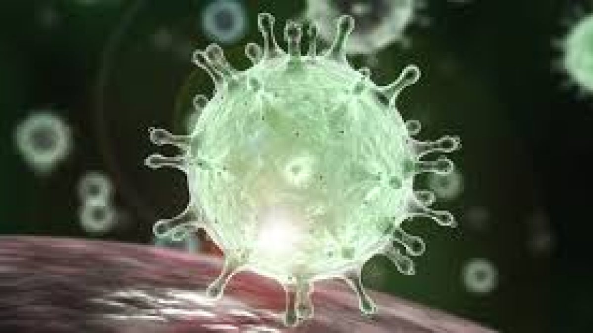 CCMB, IGIB develops digital surveillance to monitor and control COVID-19 spread