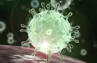 CCMB, IGIB develops digital surveillance to monitor and control COVID-19 spread