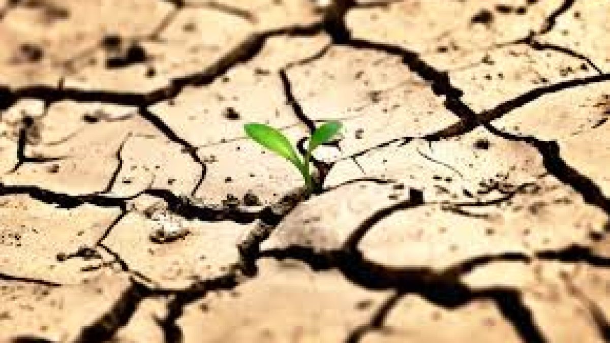 World Day to Combat Desertification and Drought 2020