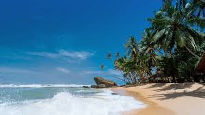 International Day of the Tropics 2020