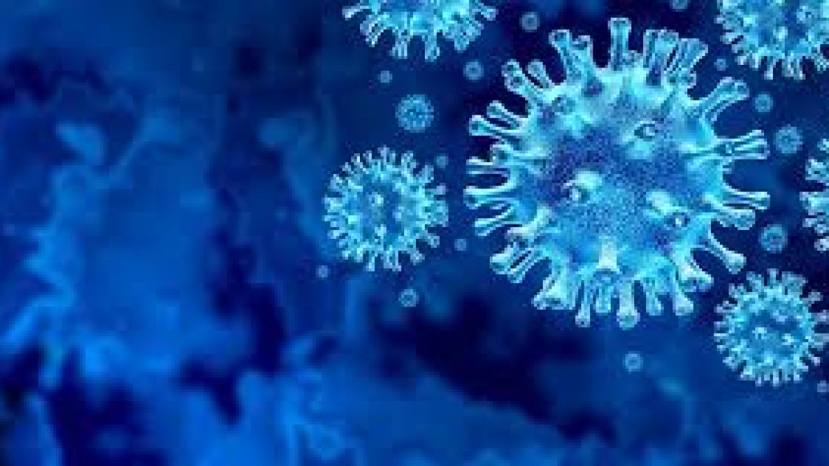 CCMB developed a new low-cost and low-tech required test for SARS-CoV-2 testing