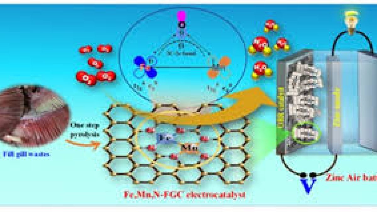 Scientists develop electrocatalysts for rechargeable metal-air battery from Fish gills