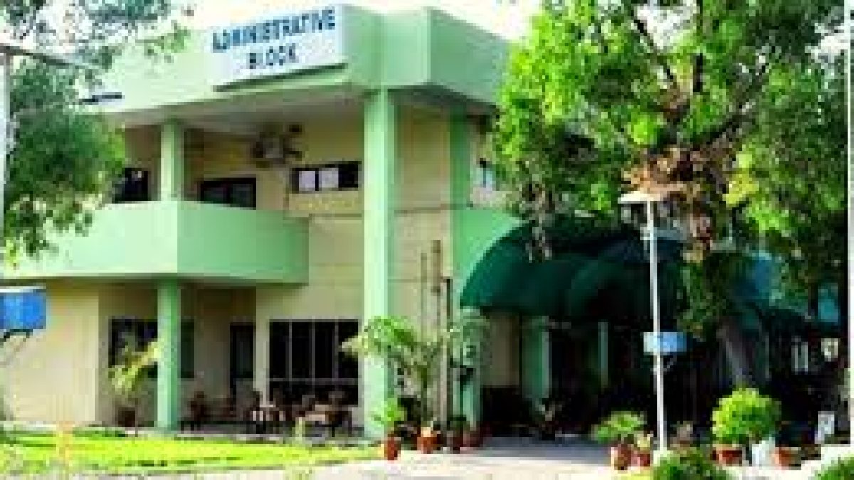 Central University of Punjab Recruitment 2020 for Apprentice Vacancy