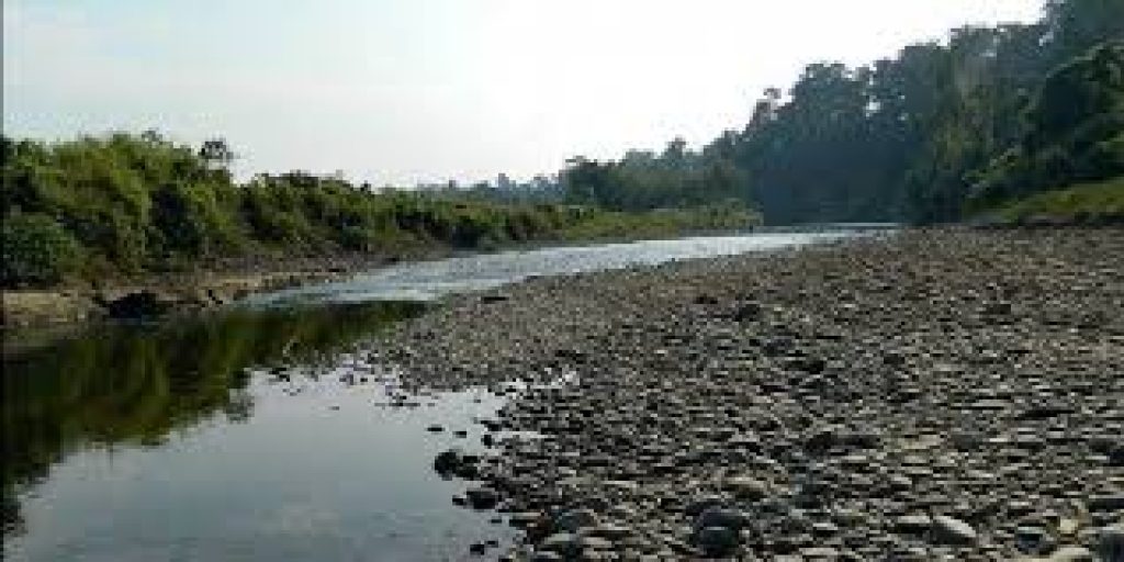 Assam govt to upgrade Dehing Patkai Wildlife Sanctuary into national park