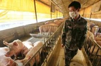 G4 flu virus with pandemic potential found in China