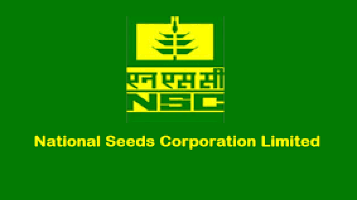 NSCL Recruitment 2020 for 220 Management Trainee, Senior Trainee, Trainee & Various Vacancy