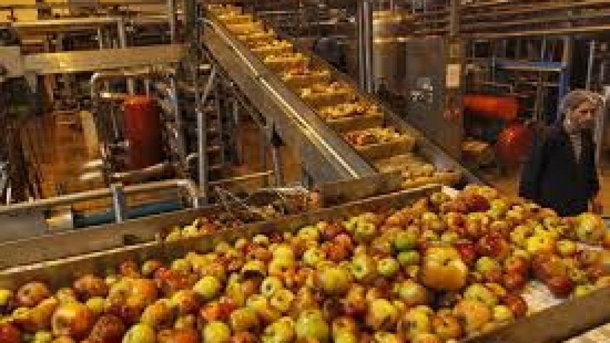 Govt launched PM FME scheme to help micro food processing enterprises