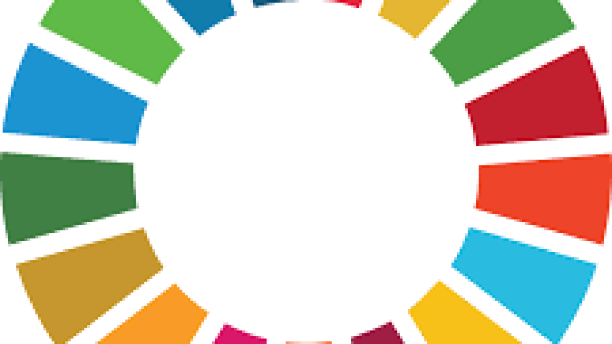 Sweden placed at the top of the SDG index 2020