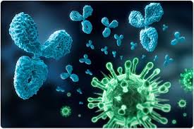 Antibody immunity to covid-19 may be short-lived