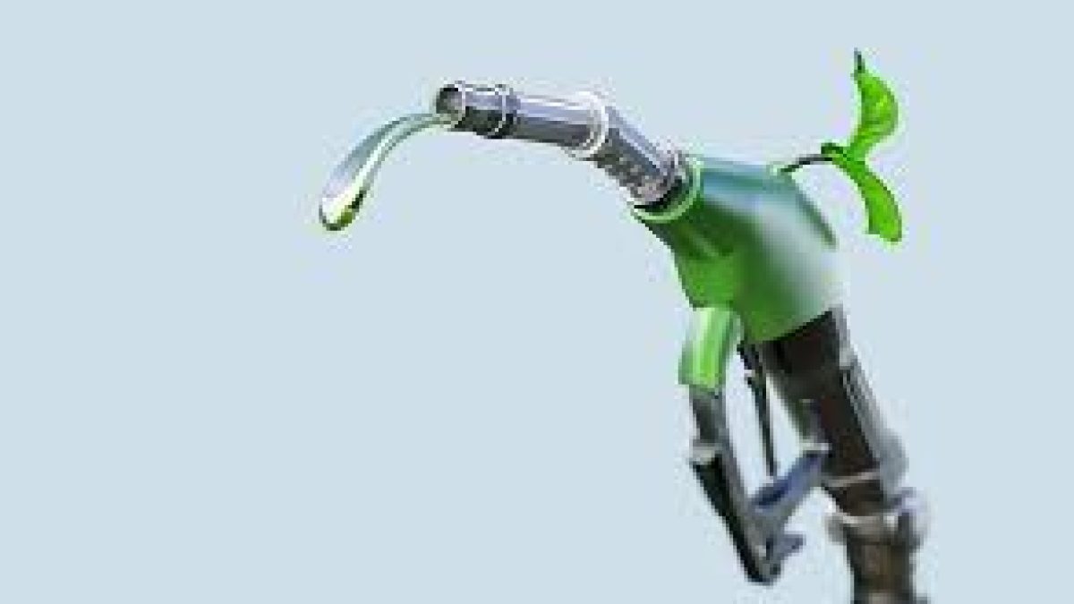 IIT Hyderabad uses AI to study supply chain network of biofuels
