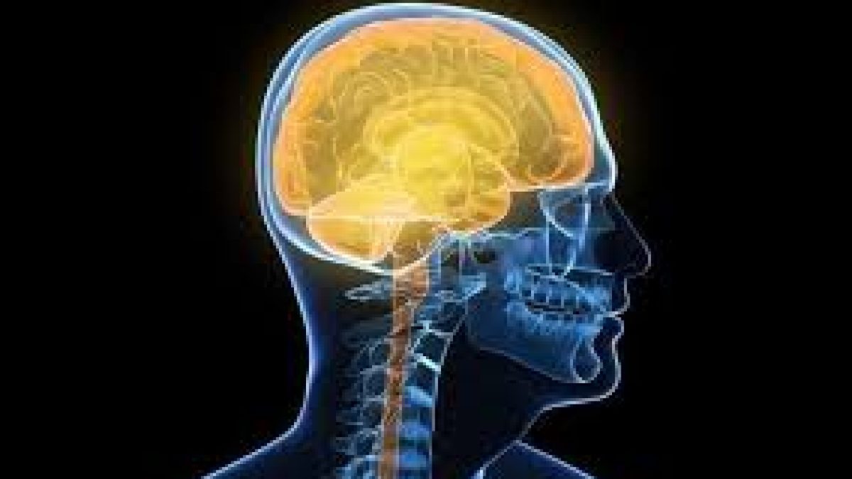 A new Cambridge study found that our brains remain active all the time