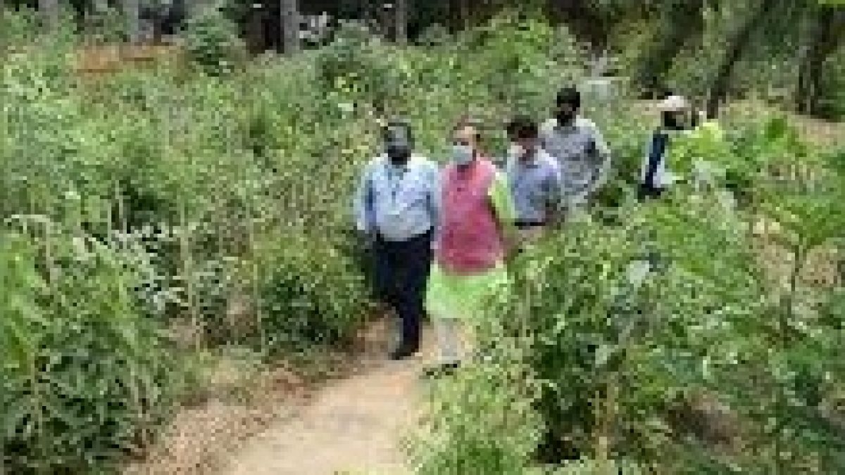 Urban forest created in Delhi at polluted ITO