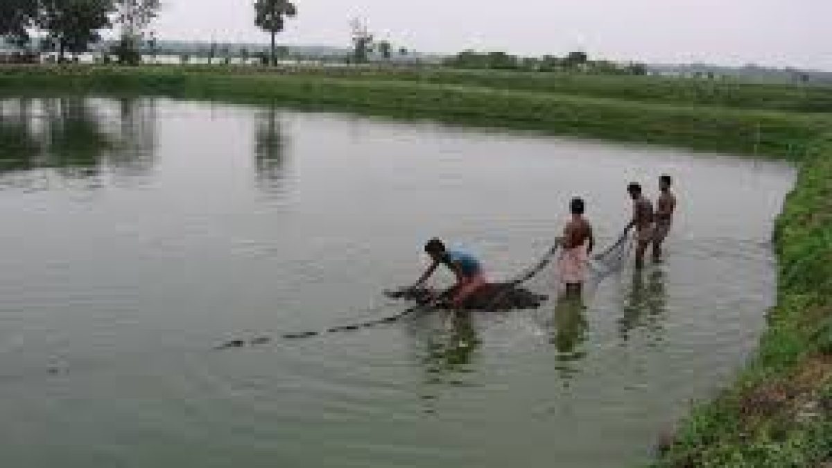 National Fish Farmers Day 2020