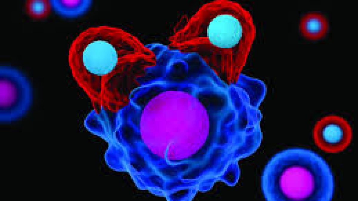 Even the sickest COVID-19 patients produce T cells that help fight the virus