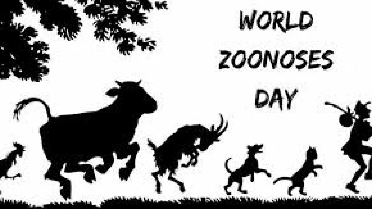 World Zoonoses Day 2020