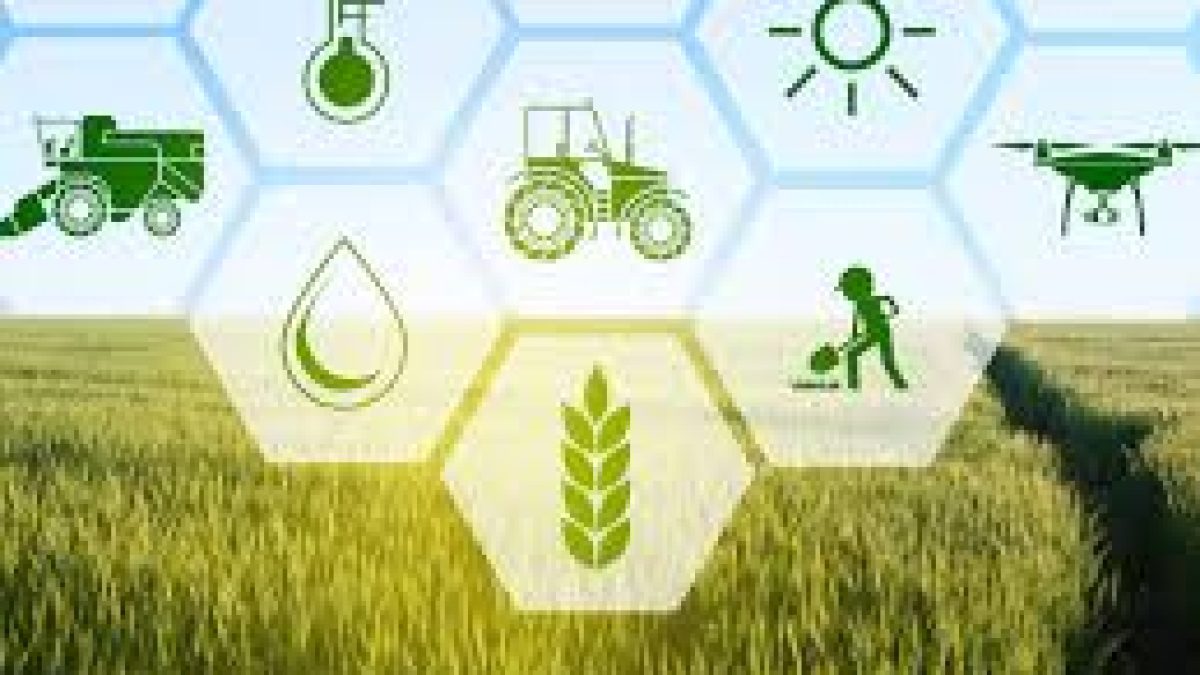 Union Agriculture Minister virtually launched the Krishi Megh