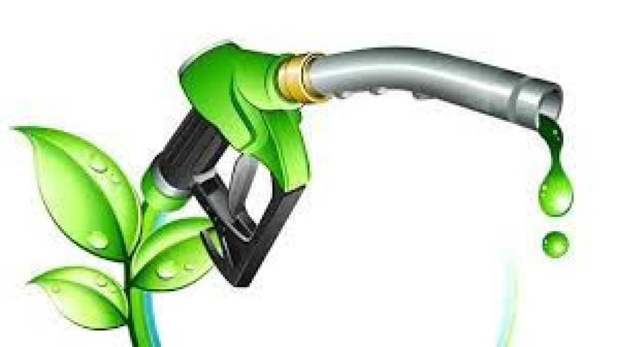 World Biofuel day 2020