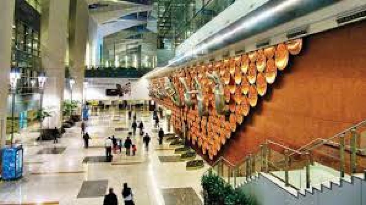 Delhi Airport develops portal for all international arriving passengers