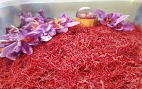 E-auction portal launched to promote trading of GI-tagged ‘Kashmir Saffron’