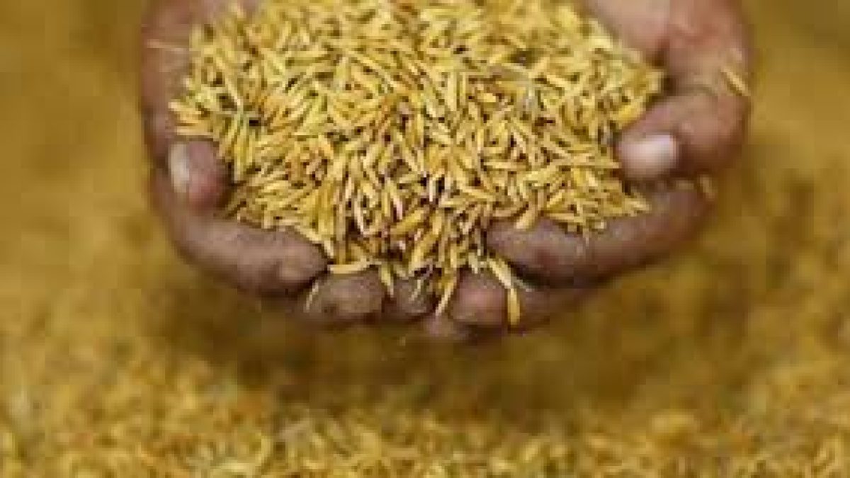 National Food Security Act 2013