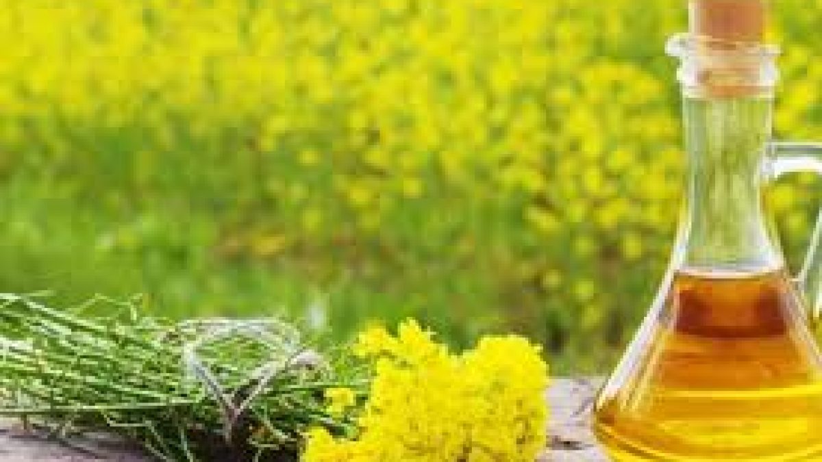 National Mustard Day 2020