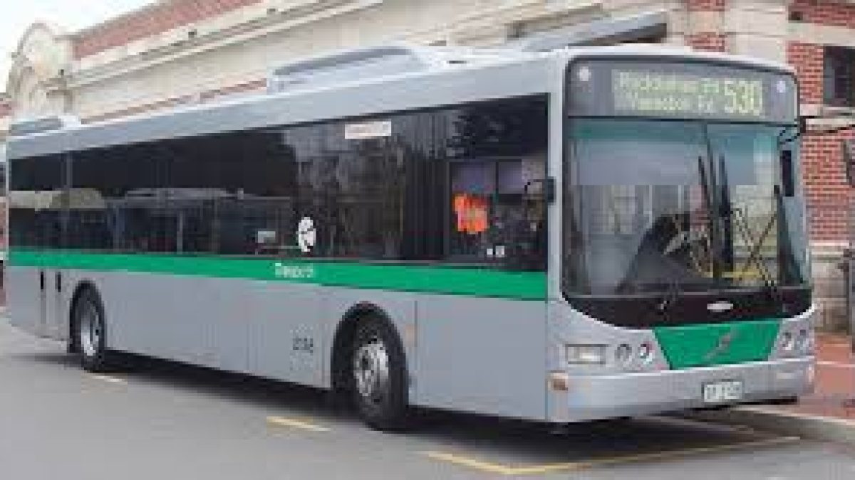 Standardised transport vehicles dimensions on international norms