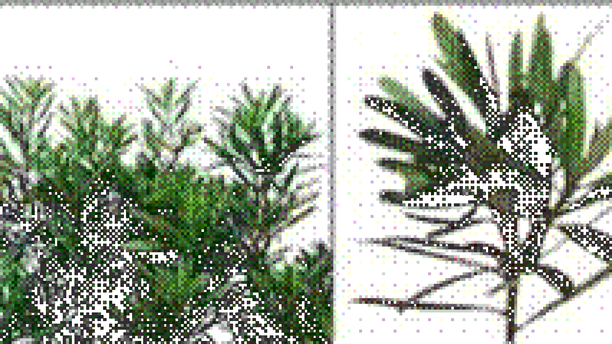 Synthethic path for tuberculosis & chikungunya inhibiting flavonoid molecules