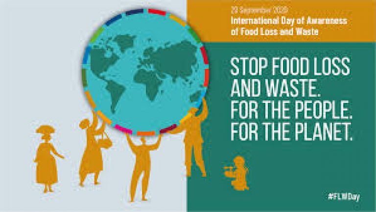 International Day of Awareness of Food Loss and Waste 2020