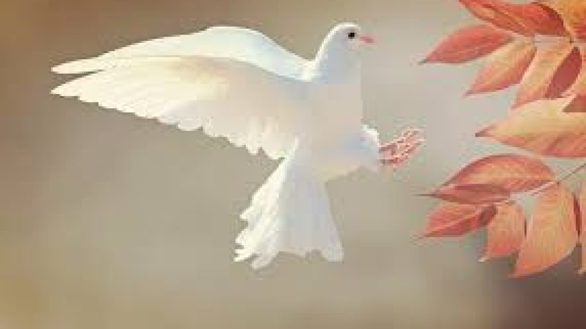 International Day of Peace 2020