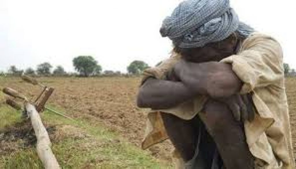 42,480 farmers and daily wagers committed suicide in 2019