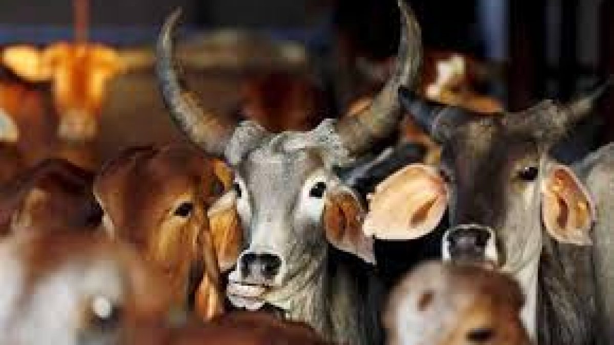 Chhattisgarh Godhan Nyay Yojana