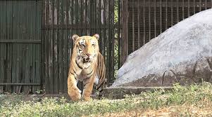 Delhi Zoo provided ecosystem service worth ₹55.5K crore, estimates study