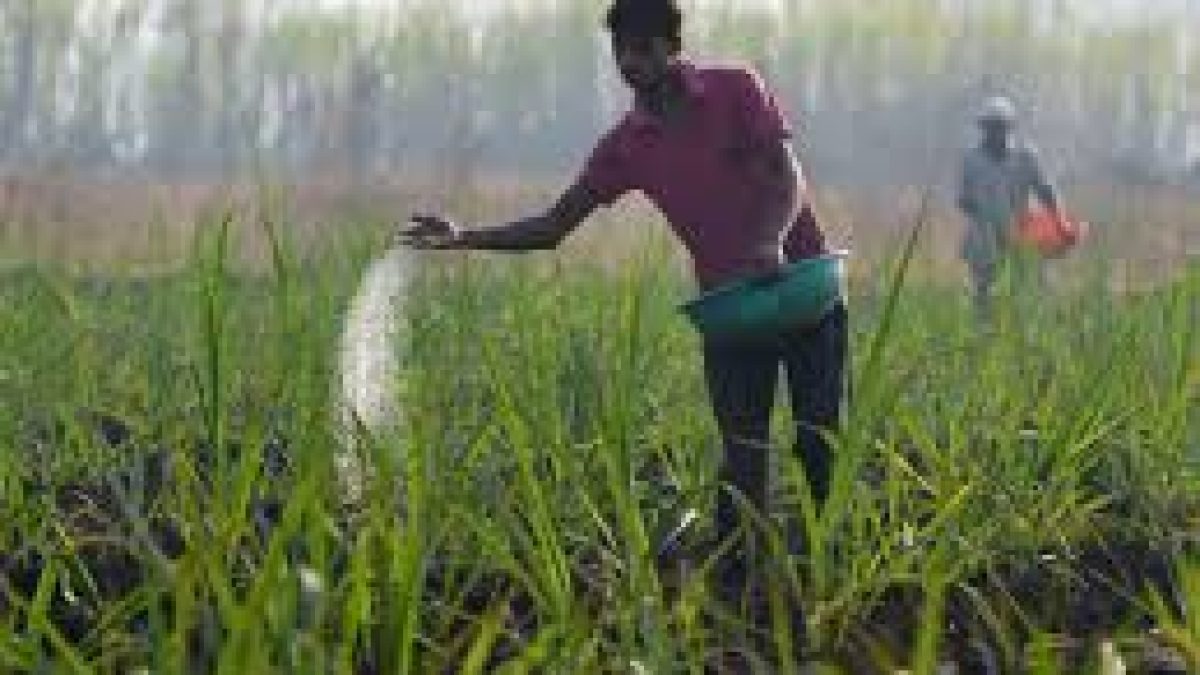 Dept of Fertilizers ranked 3rd among 65 ministries/depts in implementing central schemes