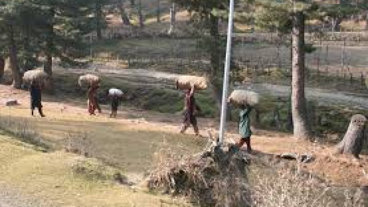 District Development Councils (DDC)