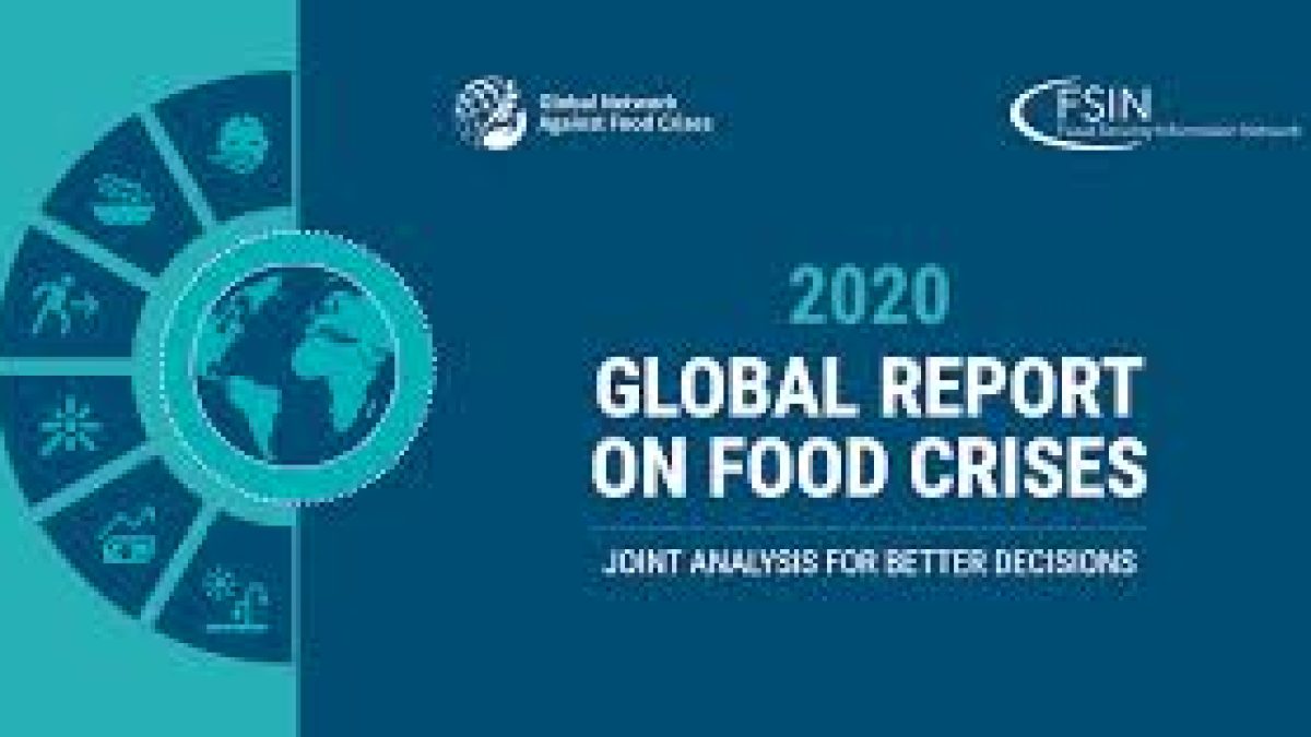 Global Report on Food Crises 2020