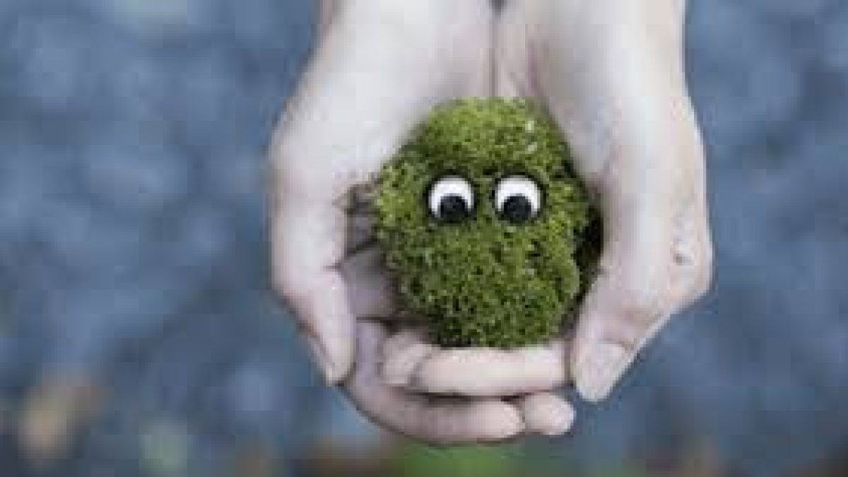 Government’s five key initiatives to conserve biodiversity