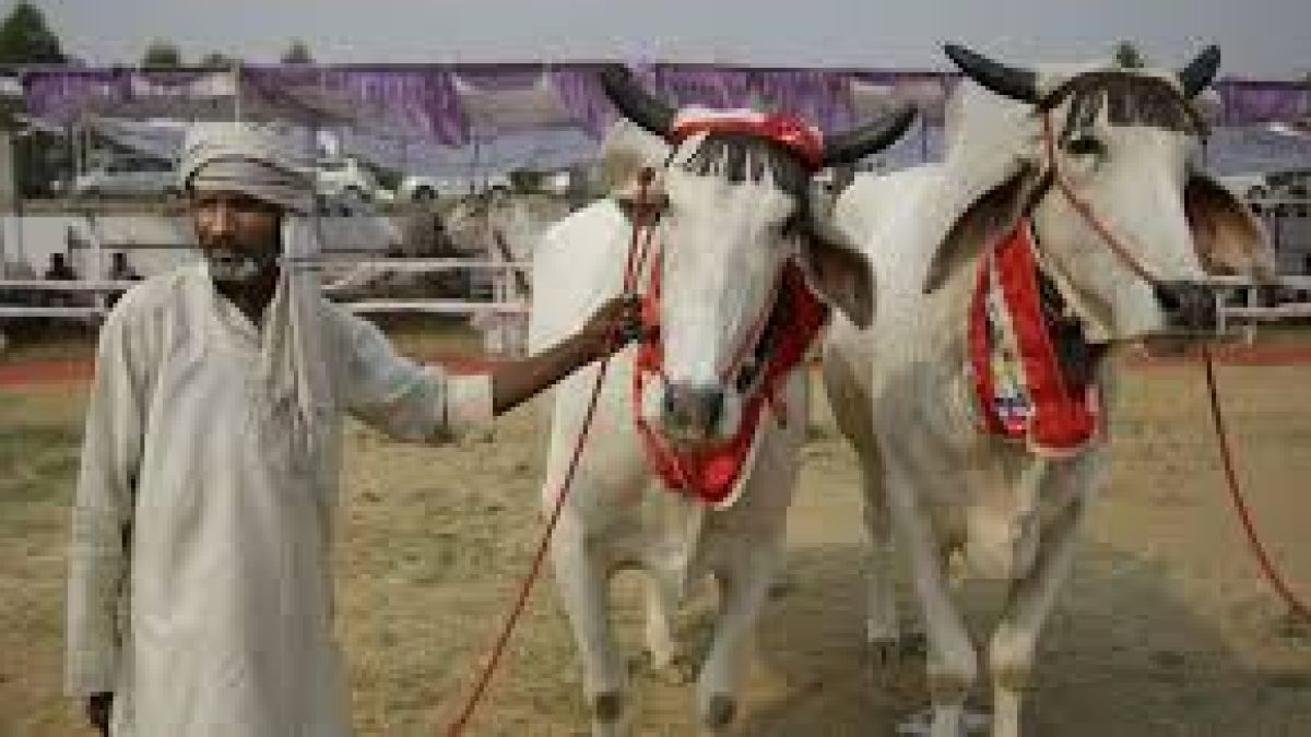 Haryana Pashu Kisan Credit Card Scheme