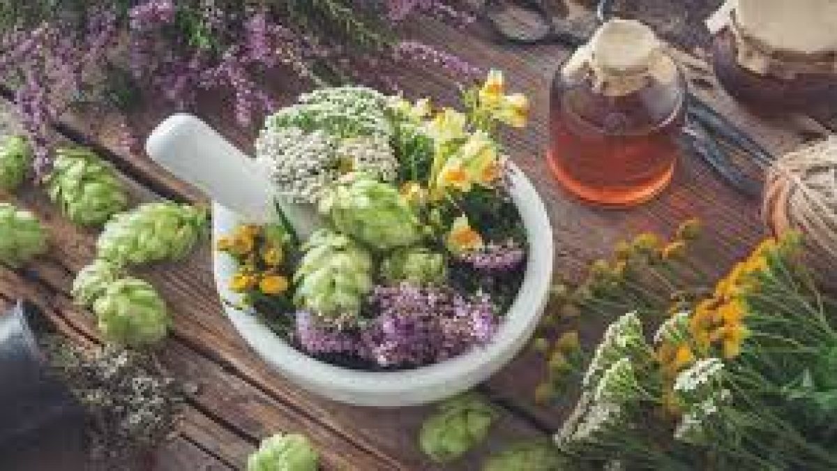 Herbal products produced by CIMAP may boost immunity