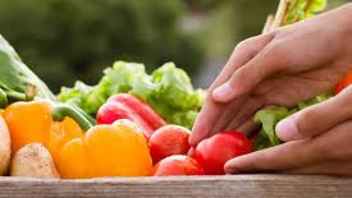 IIFPT manufactured nutrient-rich foods to COVID-19 patients