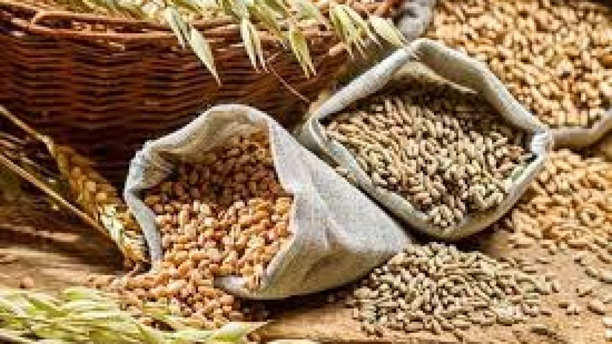 India touched record in Foodgrains production in 2019-20 crop year