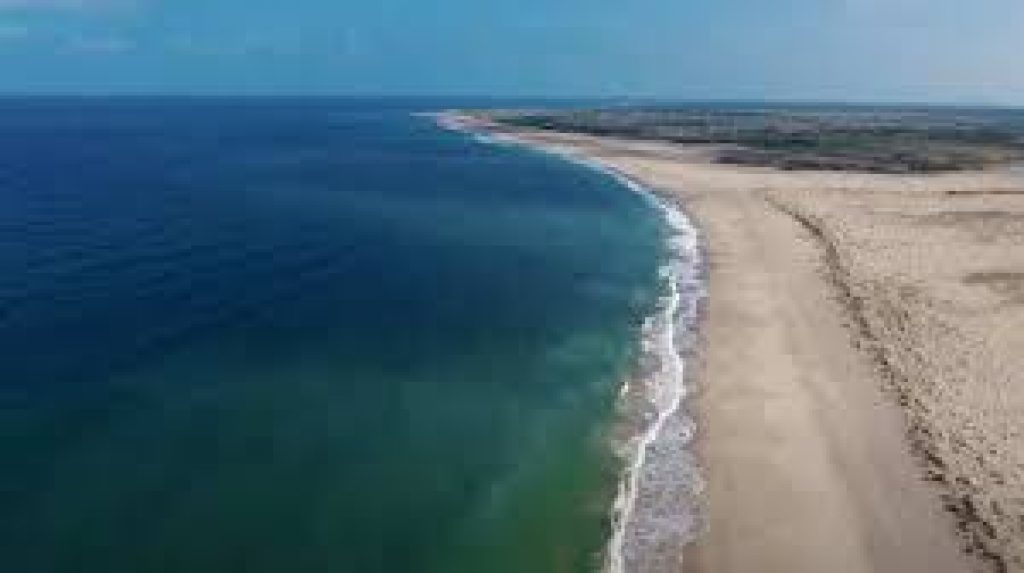 India's eight beaches got 'Blue Flag' certification