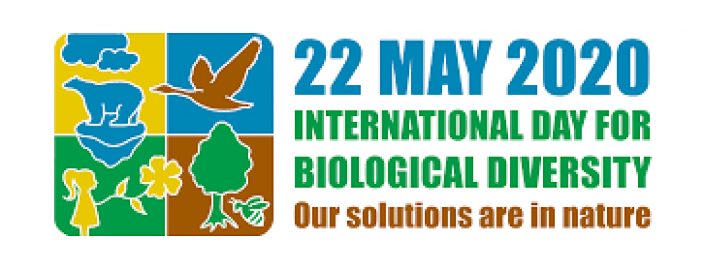 International Day for Biological Diversity 2020
