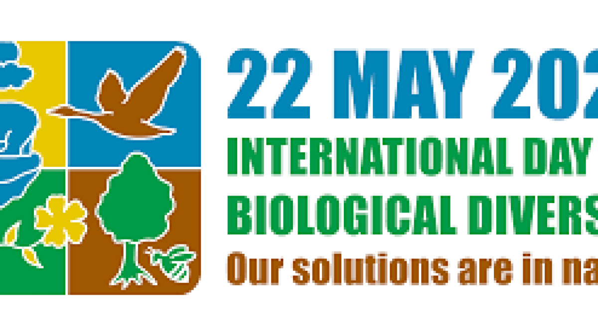 International Day for Biological Diversity 2020