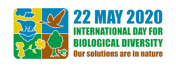 International Day for Biological Diversity 2020